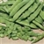 Shop Roma Bean Seeds - Bulk Non-GMO Italian Green Bean Seeds | Mainstreet Seed & Supply